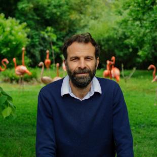 julien mozziconacci